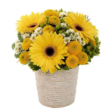 Sunny Day Dream Bouquet